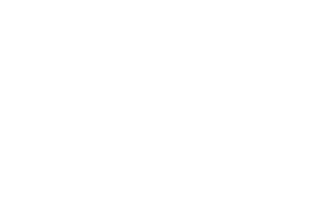 True North Yachts Logo