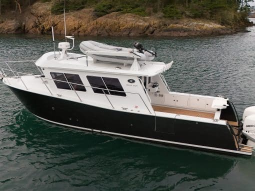 2022 Coastal Craft 33 Profish