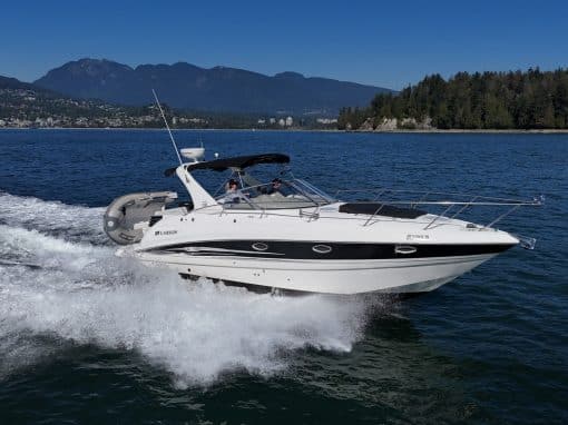 2009 Larson Cabrio 330