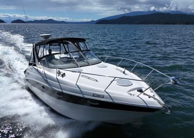 2009 Larson Cabrio 330