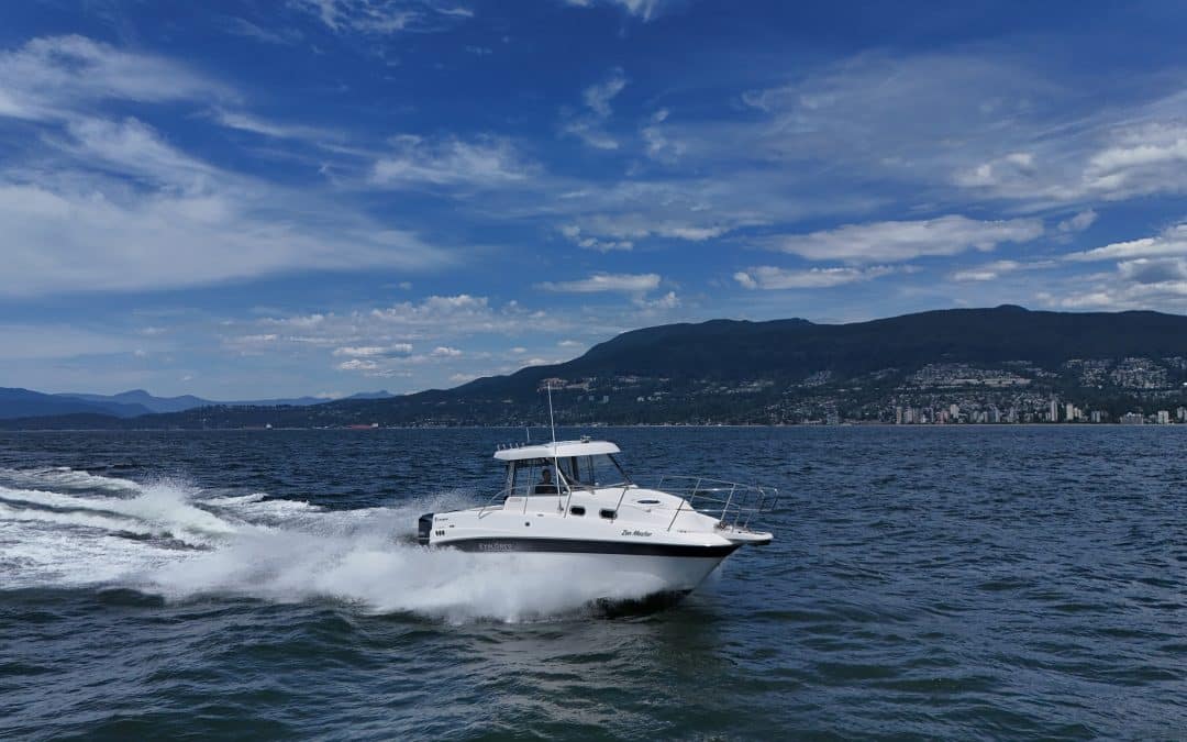 2019 Campion 822 Explorer