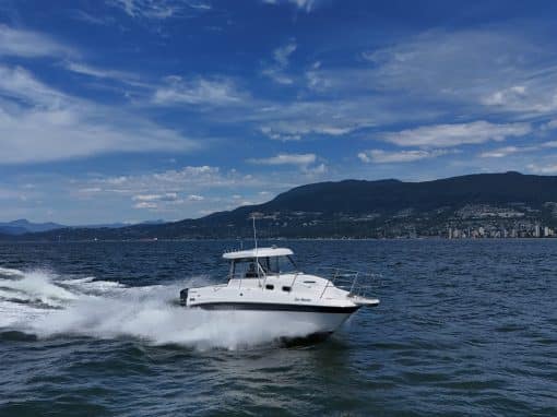 2019 Campion 822 Explorer